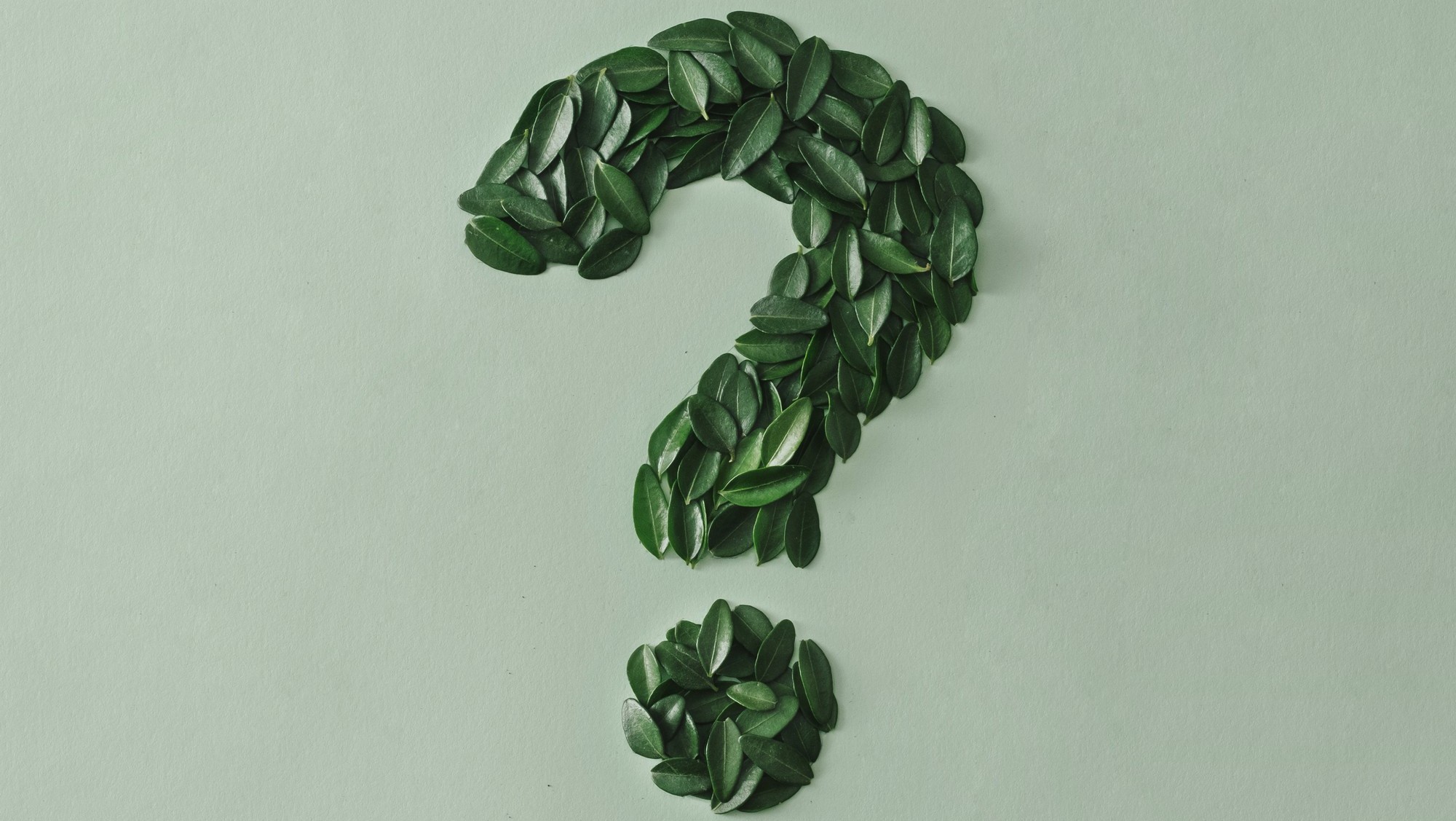 question